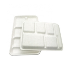 Bandeja de bagazo de caña de azúcar desechable compostable para llevar