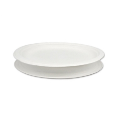 Assiettes en papier blanc de pulpe de bagasse biodégradable jetables de haute qualité