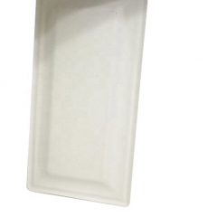 Nouveau produit Rectangle Compostable Plaque biodégradable de canne à sucre compostable