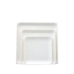 Placas biodegradables de la pulpa de la caña de azúcar de la placa blanca disponible para las frutas