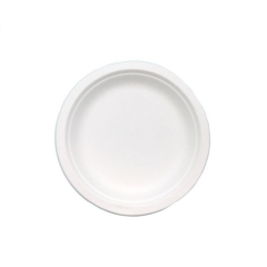 Factory direct sales disposable compostable 7 inch sugarcane plate