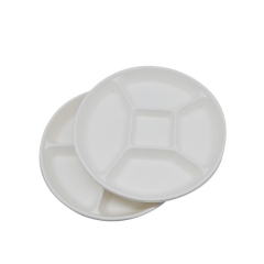 New arrival 5 compartment disposable sugarcane bagasse white plates