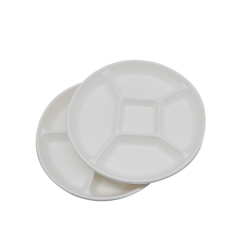 Nouveauté 5 compartiments assiettes jetables en bagasse de canne à sucre blanche