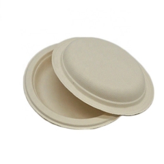 New Eco-Friendly 100% Sugarcane Bagasse Disposable Biodegradable Plates