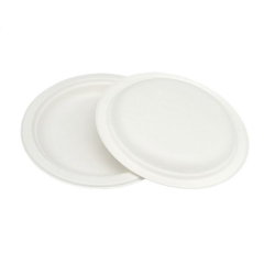 Eco compartment divided sugarcane round plate fot the Europe market