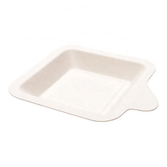 New Elegant Compostable Bagasse Square Plate Sugar Cane for Cake