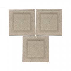 Eco-Friendly Biodegradable Compostable Bagasse Sugarcane Disposable Food Plate