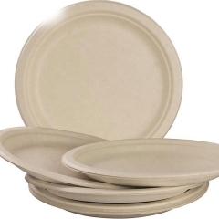 Nature 100% Compostable Bagasse Disposable Plates Sugarcane Plate