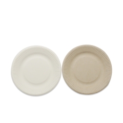 New arrival disposable biodegradable sugarcane paper pulp round plates for food