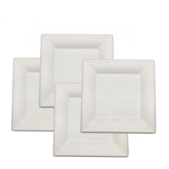 Square Bagasse Fiber Sugarcane Disposable Plates