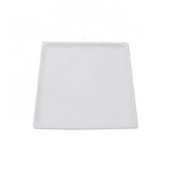 Factory Disposable Biodegradable Compostable Sugarcane Bagasse Plate