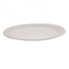 Eco-friendly biodegradable disposable sugarcane bagasse dishes & plates