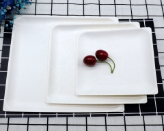 Disposable White Plate Biodegradable Sugarcane pulp Plates For Fruits