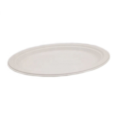 Eco-friendly biodegradable disposable sugarcane bagasse dishes & plates