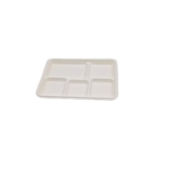 Disposable Sugarcane bagasse 5 compartment tray Biodegradable Packaging food tray lunch tray