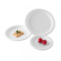 Hot Sale 7 Inch Biodegradable Sugar Cane Bagasse Plate For Food