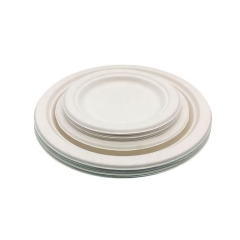 White Disposable Biodegradable Sugarcane Round Food Plate For Wedding