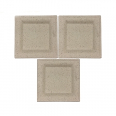 Wholesale high quality biodegradable bagasse square paper cake plate