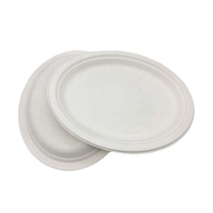 Eco Friendly Disposable Oval Sugarcane Plates For Food