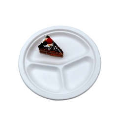 Eco Compartment Divided Sugarcane Disposable Biodegradable Plate For Restaurant