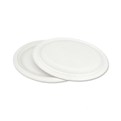 Prato oval de polpa de bagaço compostável descartável em promoção para restaurante