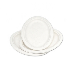 High Quality Eco-Friendly Biodegradable Bagasse Sugarcane Oval Plate For Dinner