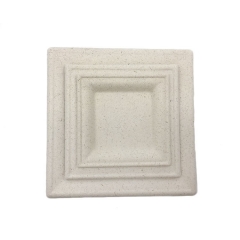 Hot Selling Biodegradable Paper Pulp Plate Compostable Sugarcane Bagasse Disposable Square Plate