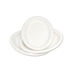Waterproof and oil-proof degradable bagasse food dish