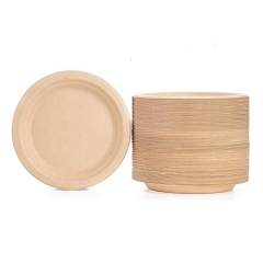 Unbleached Disposable Sugarcane Compostable Plates Pack For Party