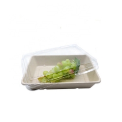 Unbleached tableware 100% eco friendly biodegradable compostable bagasse disposable plates
