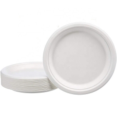 Round biodegradable disposable sugarcane tray