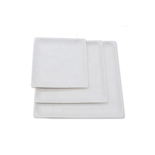 Disposable Sugarcane Bagasse Square plates for Dessert