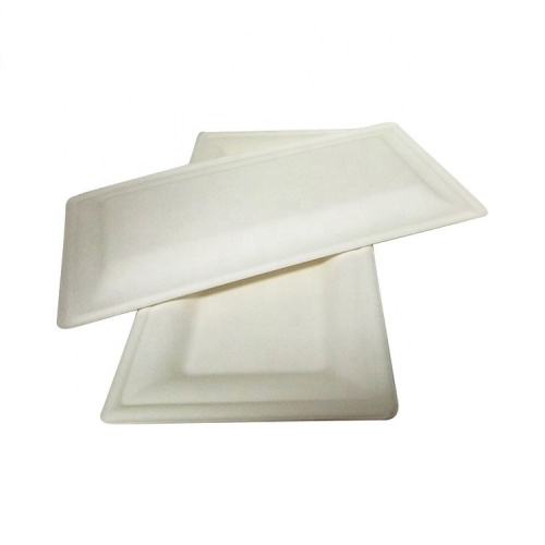 Nouveau produit Rectangle Compostable Plaque biodégradable de canne à sucre compostable