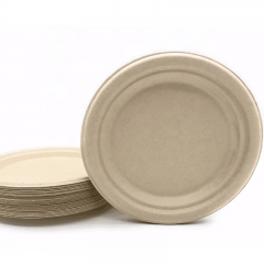 Plaques de bagasse à sucre jetables blanches Nature de haute qualité