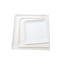 Placa cuadrada biodegradable disponible de calidad superior promocional de la caña de azúcar