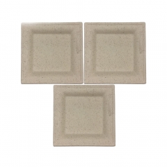 Factory direct disposable compostable sugarcane bagasse square plate