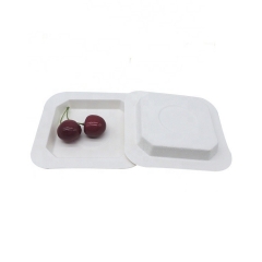 New Product Compostable Sugarcane Disposable Dessert Plates