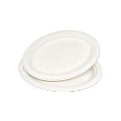 Disposable Biodegradable Sugarcane Pulp Plates