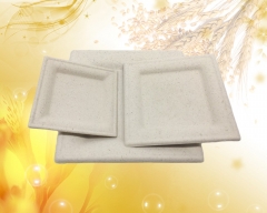 Beliebte zerlegbare quadratische Zuckerrohr-Bagasse-Platte