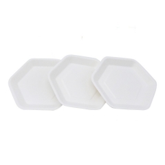 Modern style disposable sugarcane bagasse cake plate for children birthday