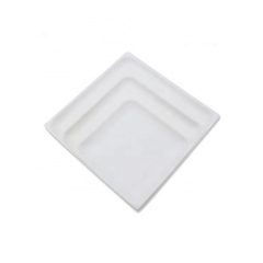 Hefei New Product Eco Friendly Sugarcane Square Plates