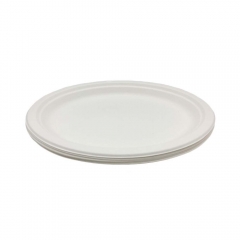 Promotional top quality disposable biodegradable sugarcane plates