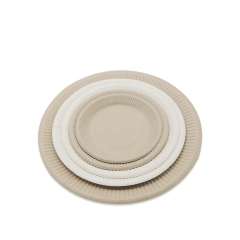 New arrival disposable biodegradable sugarcane paper pulp round plates for food