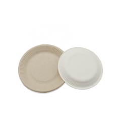 Assiette jetable Bagasse Biodégradable Assiettes en relief de canne à sucre