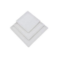 Disposable Sugarcane Bagasse Square Dinner Plates for Weddings