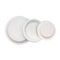 Hot selling disposable compostable sugarcane bagasse round paper plates
