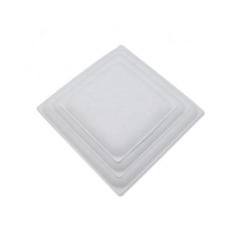 New Style Square Bagasse Pulp Biodegradable Sugarcane Plates