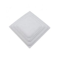 Bagasse Carrée Nouveau StyleAssiettes de pulpe de canne à sucre biodégradable