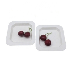 Disposable Microwavable Plates Biodegradable Sugercane Square Plate