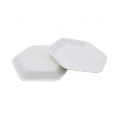 New Biodegradable Sugarcane Tableware Disposable Cake Plate